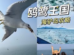 -海驴岛(荣成市)