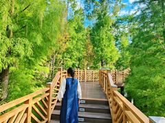 -神光山国家森林公园