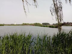 -白洋淀景区