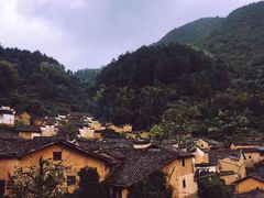 -杨家堂村