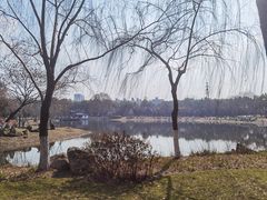 -堤角公园