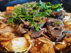 -肚子铺羊蝎子火锅