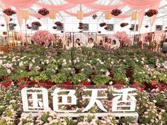 -盈香心动乐园