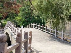 -沂蒙山旅游区龟蒙景区