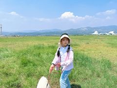 -敕勒川草原