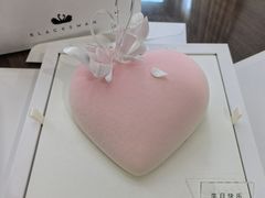 -BLACKSWAN黑天鹅(环球店)