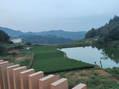 -乌石村