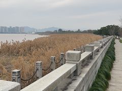 -江心屿景区