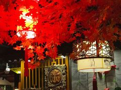 -钰龙轩清真重庆火锅(民治店)