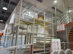 -宝燕乐园(春申店)