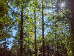 -国家植物园南园