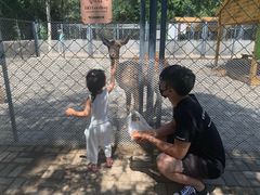 -长白岛森林公园