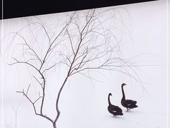 -BLACKSWAN黑天鹅(环球店)