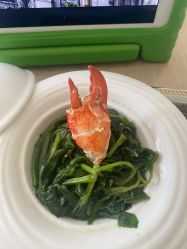 -皇家月府月子中心(沈阳店)