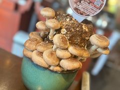 -捞王猪肚鸡火锅(昆山店)