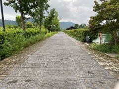 -帐篷客·溪龙茶谷度假酒店