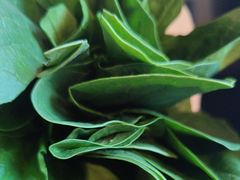 -南门四季铜锅涮肉(大屯·北苑店)