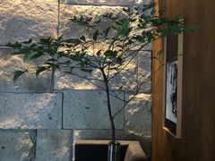 -木守西溪溪隐餐厅