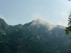-旗山国家森林公园