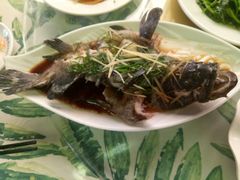 -四姑娘川味海鲜(八爪鱼店)