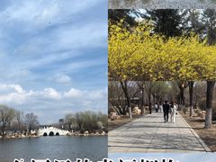 -长春市南湖公园