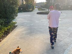 -懒熊月嫂中心(金鸡湖店)