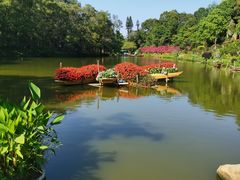 -深圳仙湖植物园