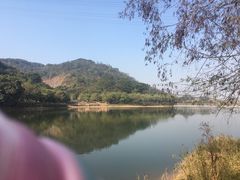 -水濂山森林公园