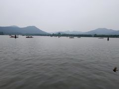 -西湖游船