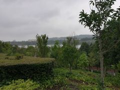 -洛龙公园