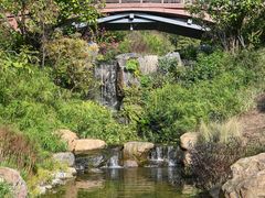 -云溪植物园