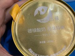 -德禄酸奶(莫家街店)