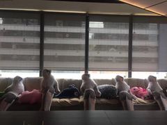 -CIAO·团建聚餐·生日派对轰趴馆(福田店)