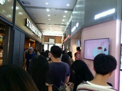 -狐狸和向日葵(北京路店)