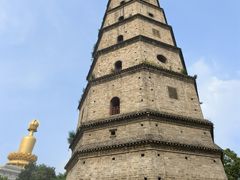 -兴隆文化园景区-兖州博物馆