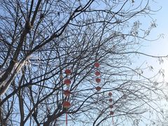 -天兴居(鲜鱼口街店)