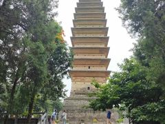 -洛阳白马寺