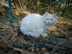 -北京西山国家森林公园