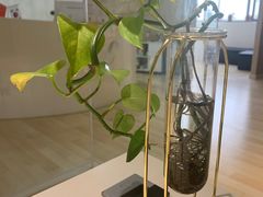 -星美科技皮肤管理中心(国贸店)