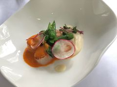 -蝶舍·MAISON PAPILLON