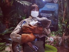 -侏罗纪世界电影特展(广州站)