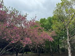 -白塘生态植物园