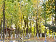 -艾溪湖湿地公园