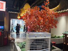 -杨记隆府重庆江湖菜(大悦城店)
