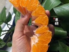 -大成铁板烧•板前(复古餐厅石老人店)