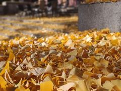 -北京友谊宾馆·聚祥园