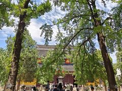 -西园寺素食(西园弄戒幢律寺店)