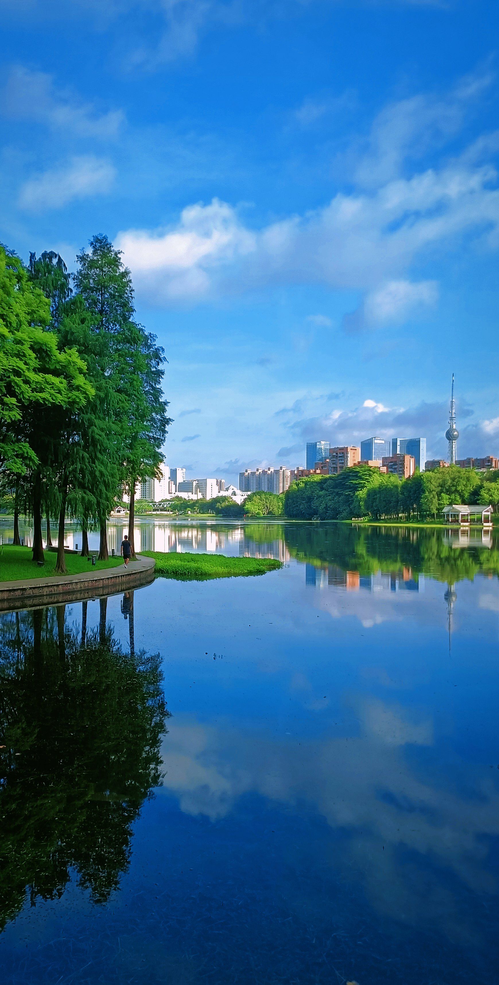 佛山亚艺公园[爱]:仙雾缭绕荷香来[玫瑰]