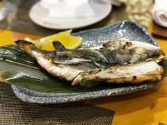 河豚鱼干-天正河鲀·河豚亭(大连店)