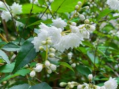 -齐齐哈尔市博物馆